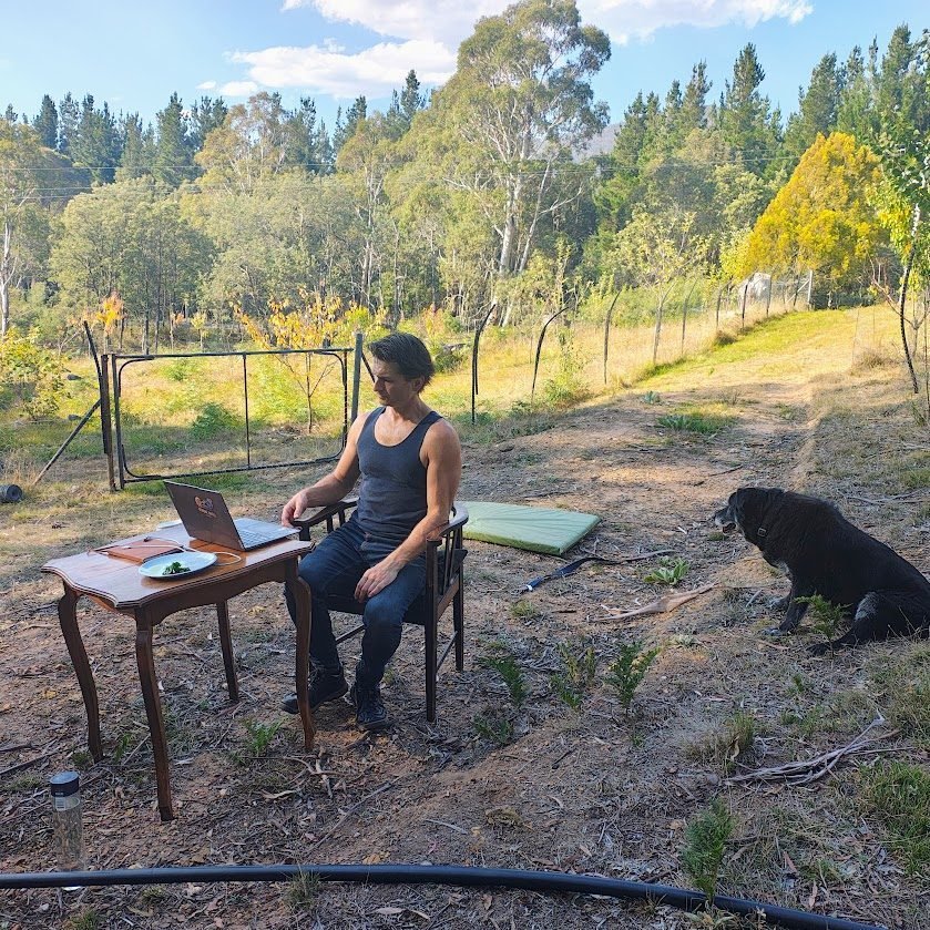 Steven Bailey working at a desk outdoors in the bush with his dog